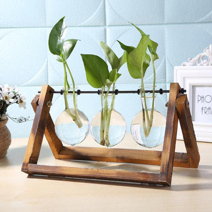 Glass and Wood Vase Planter Table Desktop - ESSENTIALS365