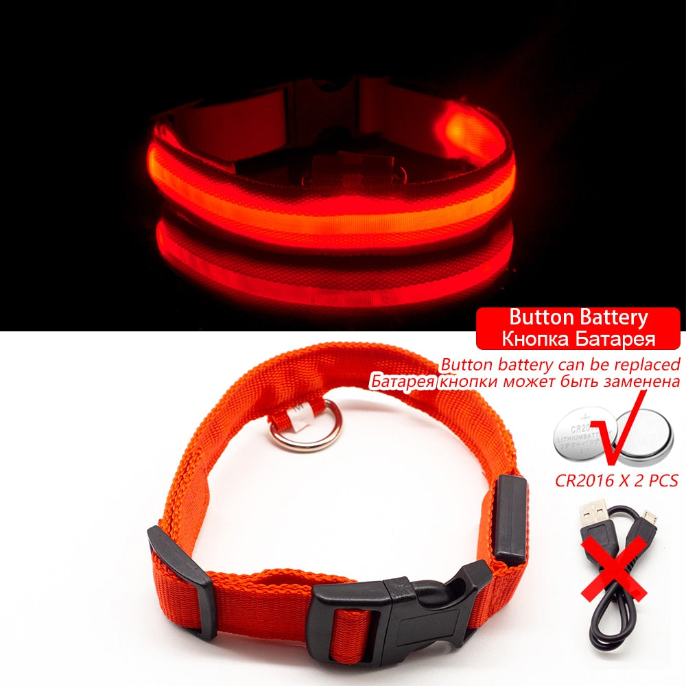 USB Charging Led Dog Collar - ESSENTIALS365