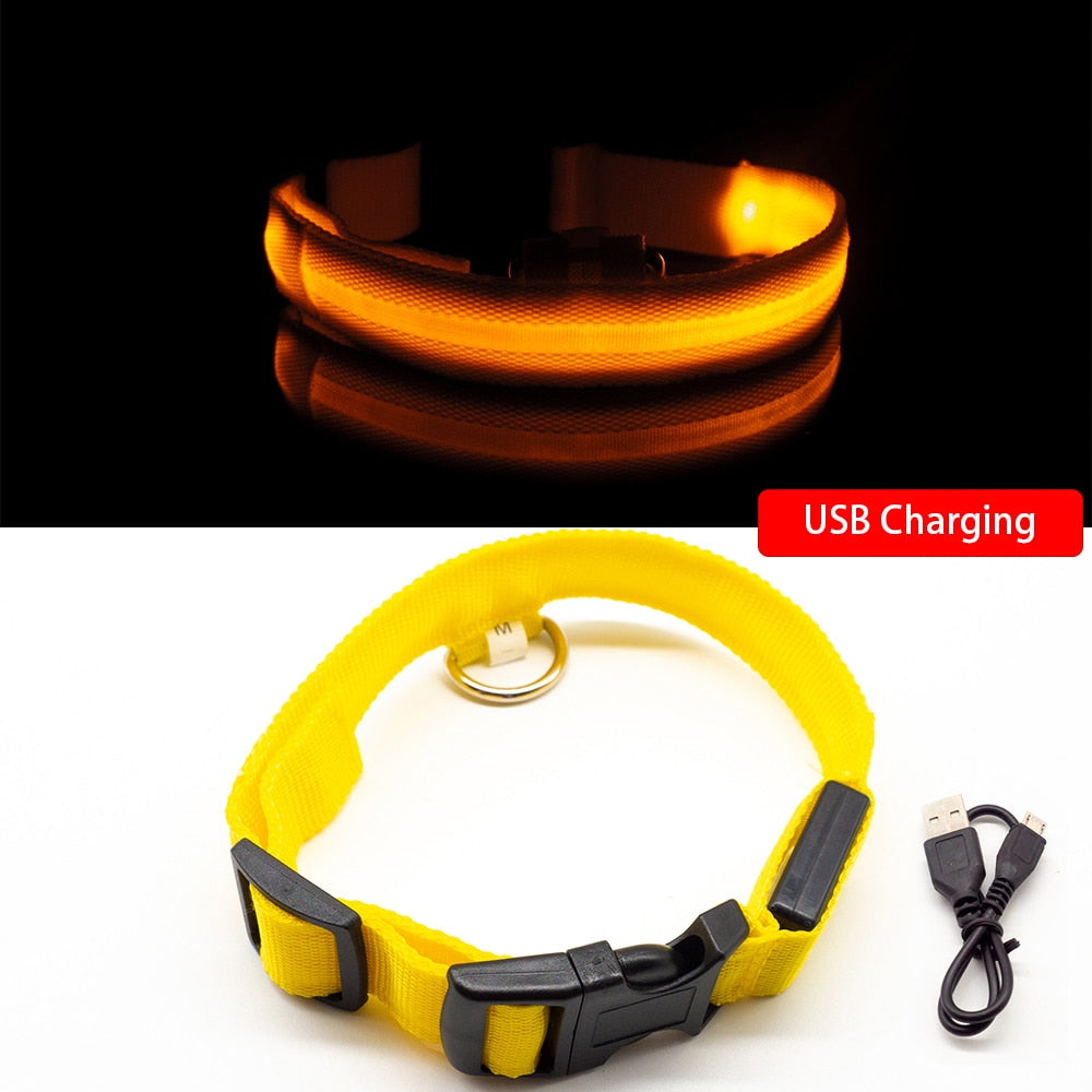 USB Charging Led Dog Collar - ESSENTIALS365