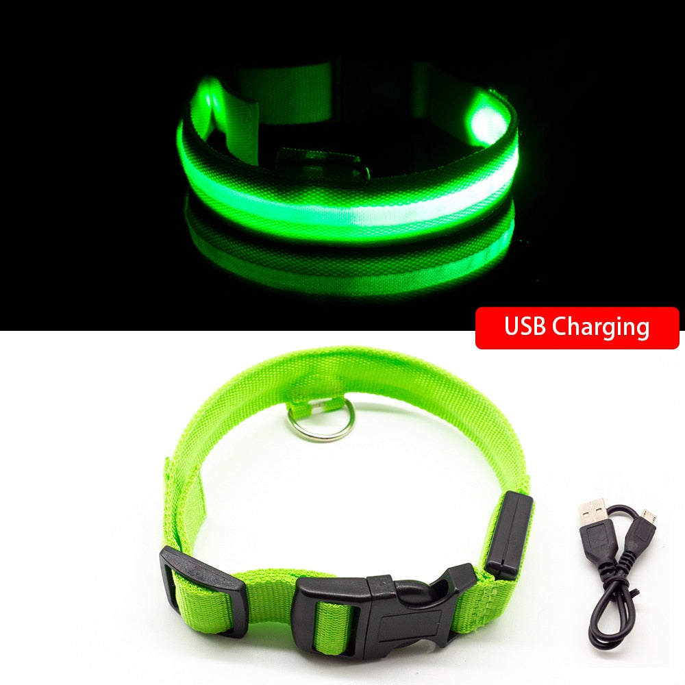 USB Charging Led Dog Collar - ESSENTIALS365