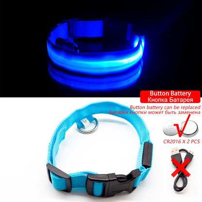 USB Charging Led Dog Collar - ESSENTIALS365