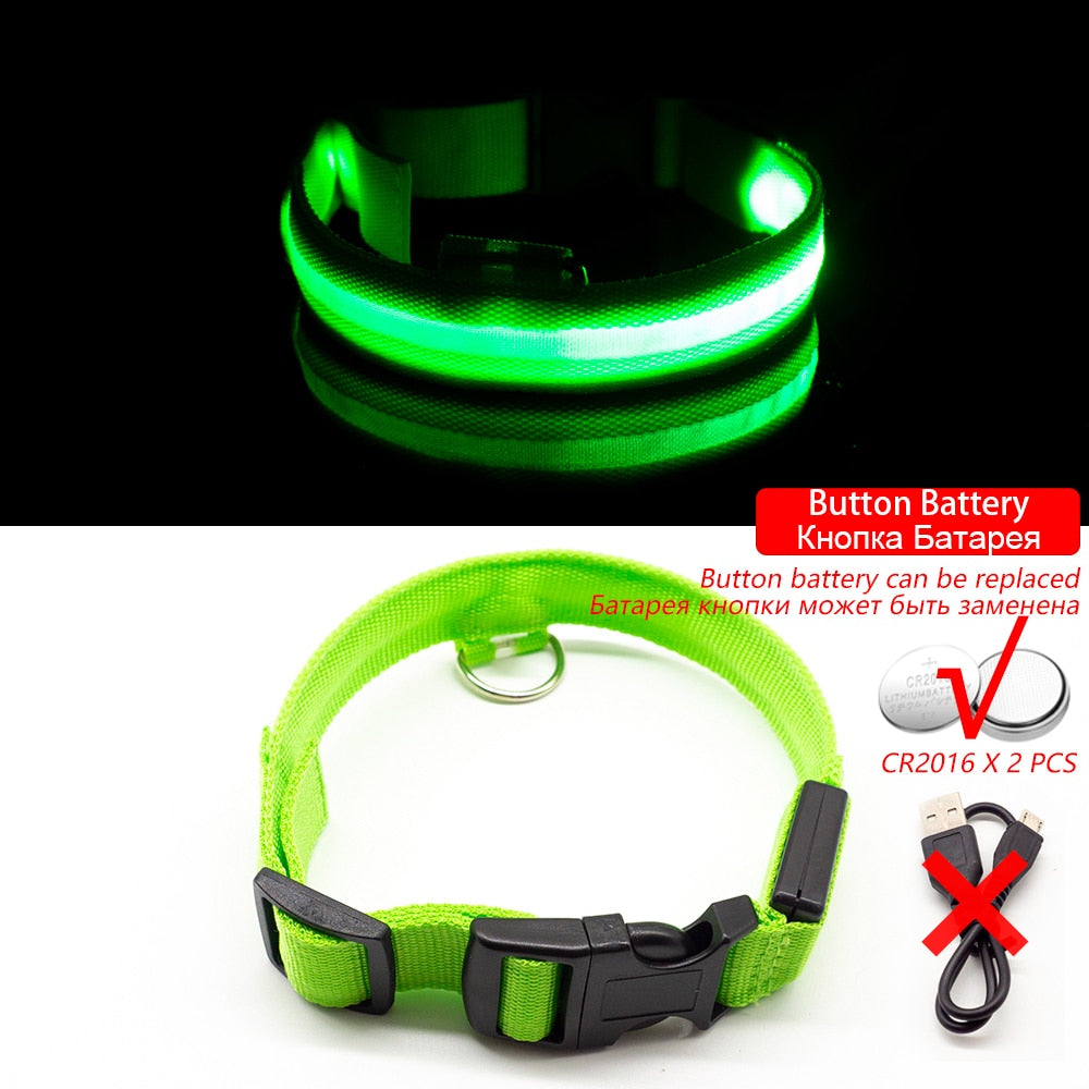 USB Charging Led Dog Collar - ESSENTIALS365