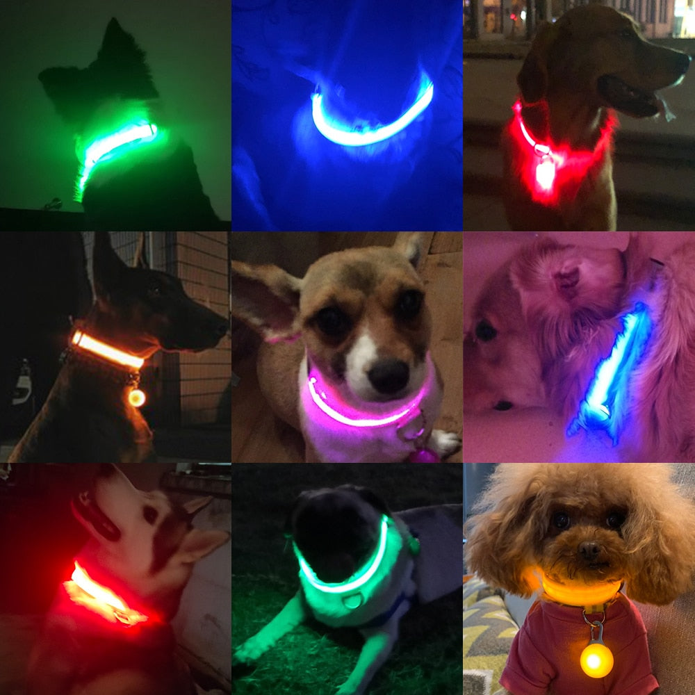 USB Charging Led Dog Collar - ESSENTIALS365