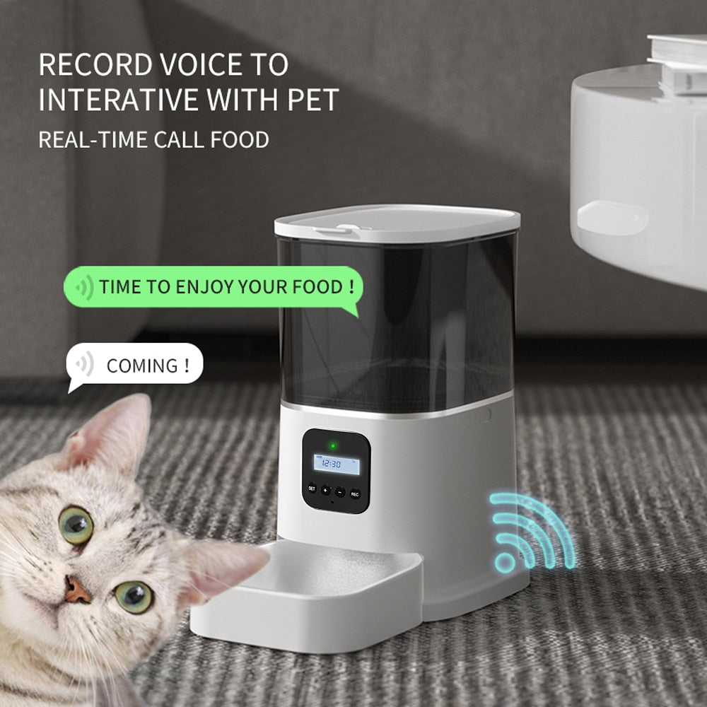 Iseebiz 3L Automatic Cat Feeder Dog Food Dispenser with Camera Support Voice Record App Control 8 Times One Day Pet Accessories - ESSENTIALS365