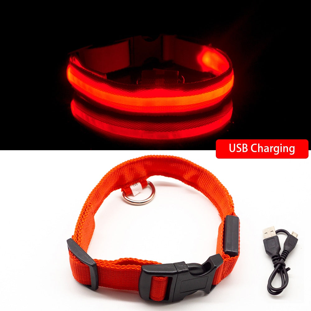 USB Charging Led Dog Collar - ESSENTIALS365