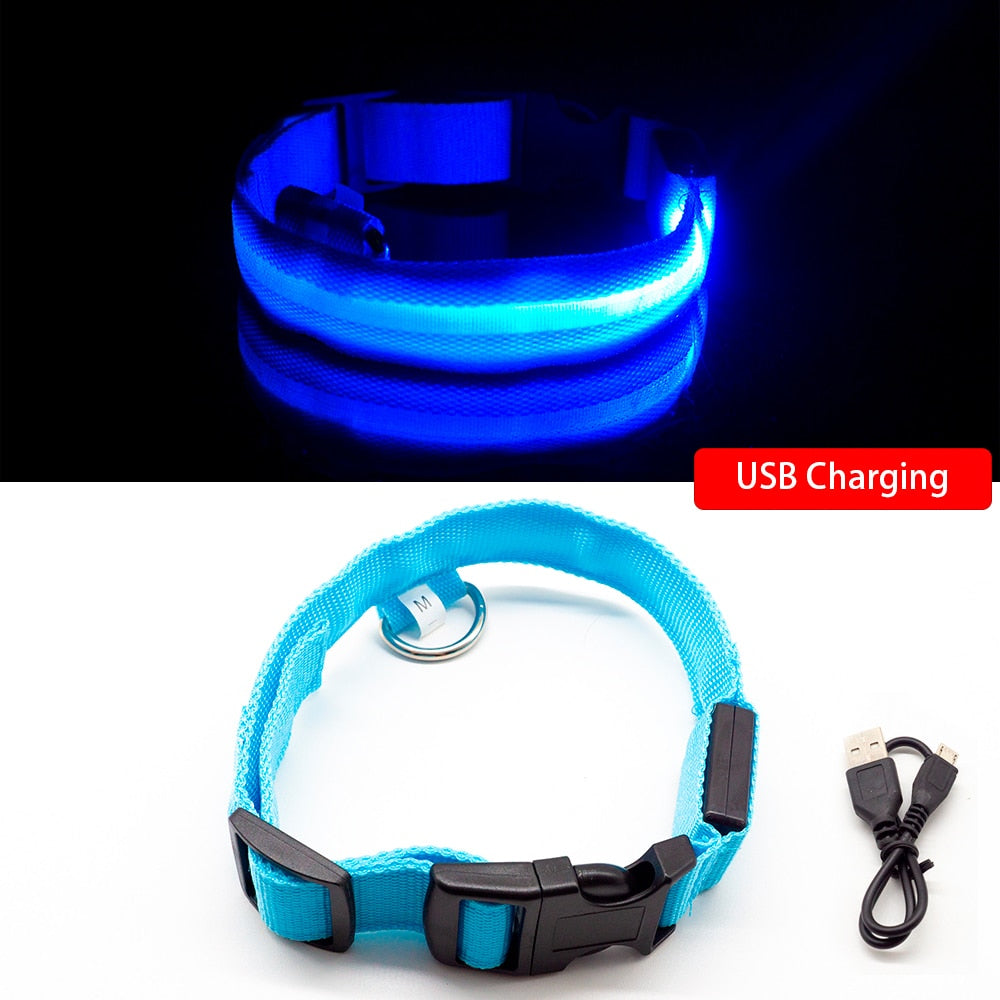 USB Charging Led Dog Collar - ESSENTIALS365