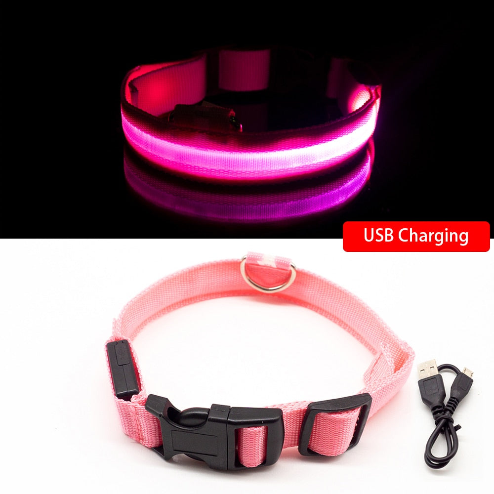 USB Charging Led Dog Collar - ESSENTIALS365