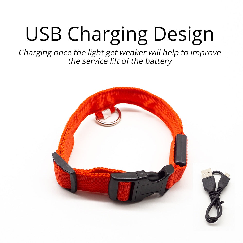 USB Charging Led Dog Collar - ESSENTIALS365