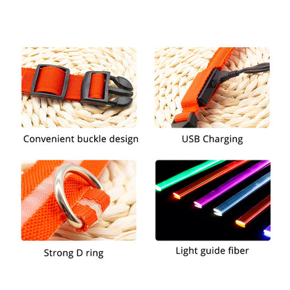 USB Charging Led Dog Collar - ESSENTIALS365