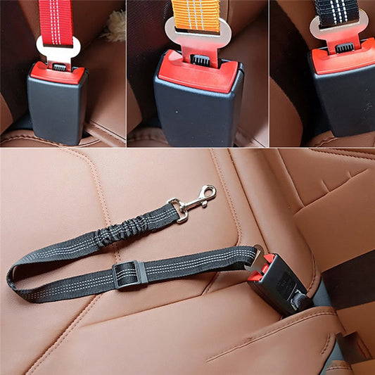 Ride With Me™ Pet Seat Belt - ESSENTIALS365