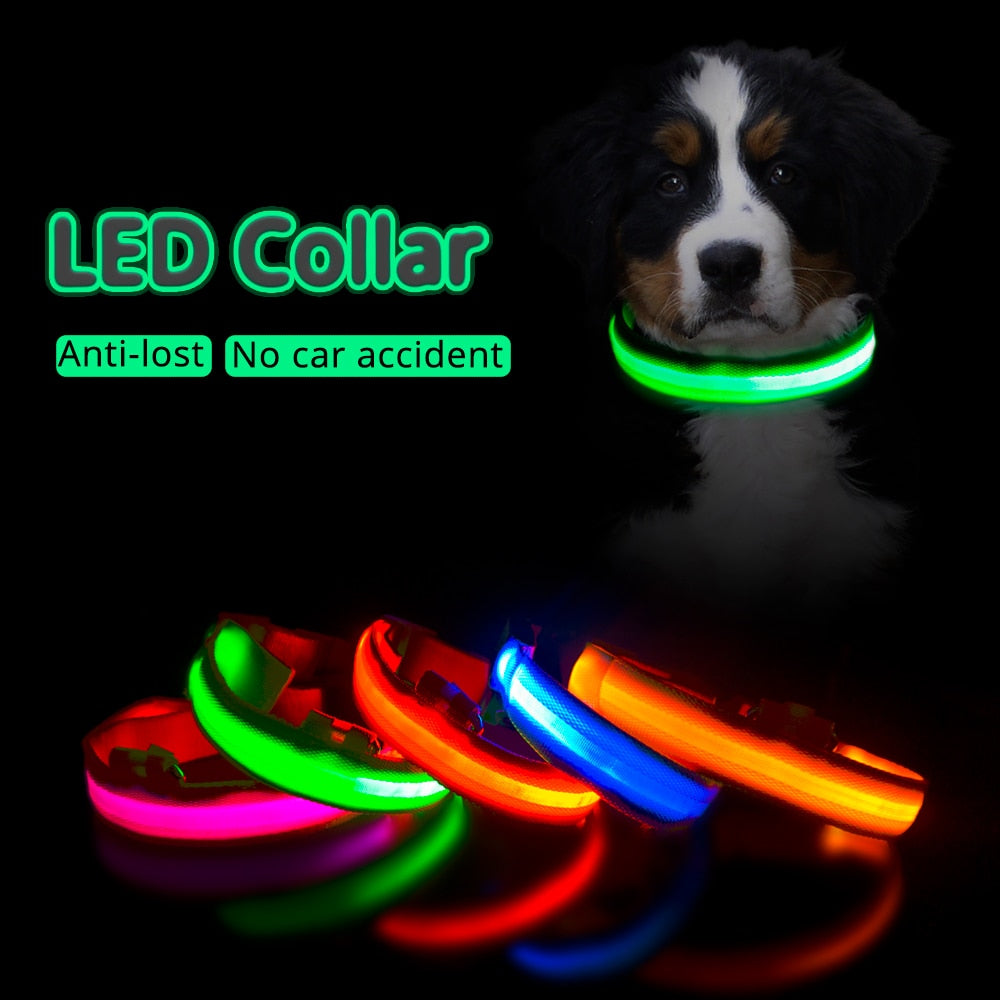 USB Charging Led Dog Collar - ESSENTIALS365